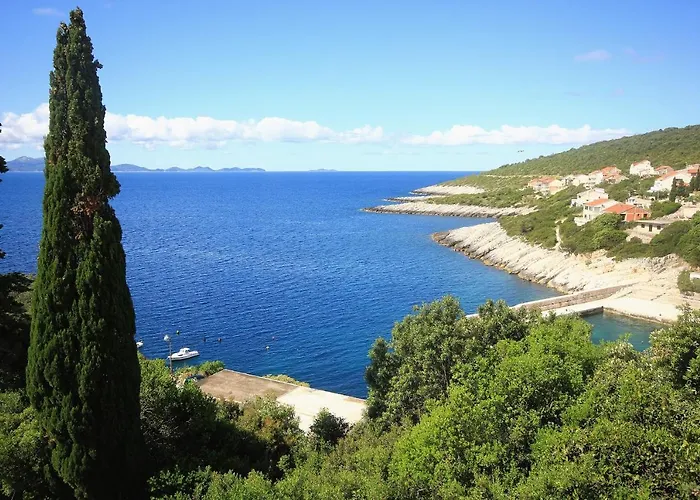 Apartments With Parking Space Zavalatica, Korcula - 545 *